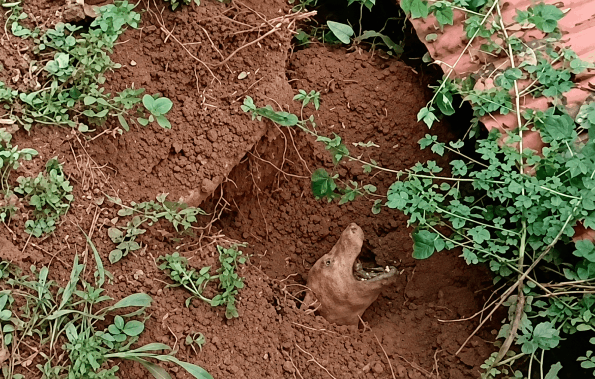 She Was Trapped in the Mud